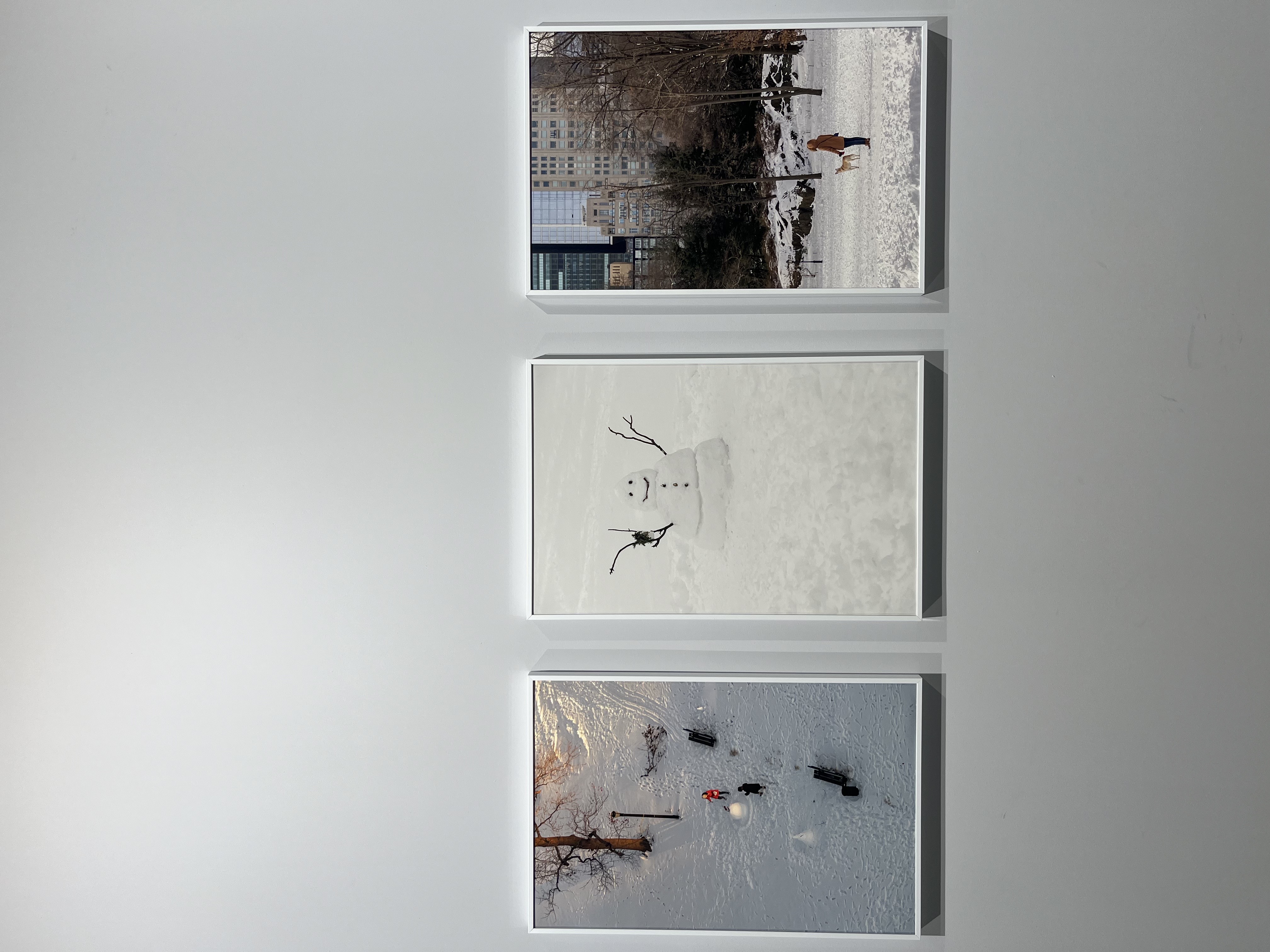 Image Alt photo_exhibition